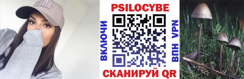 Галлюциногенные грибы мицелий  Челябинск 