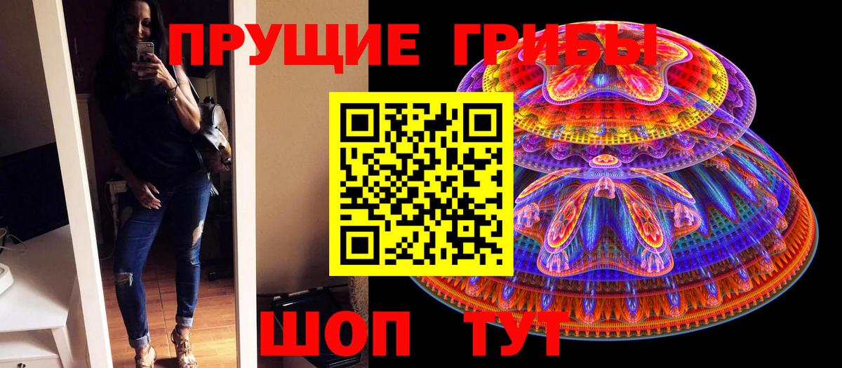Челябинск  Галлюциногенные грибы ЛСД  Вход с VPN  цены   Галлюциногенные грибы Psilocybe 